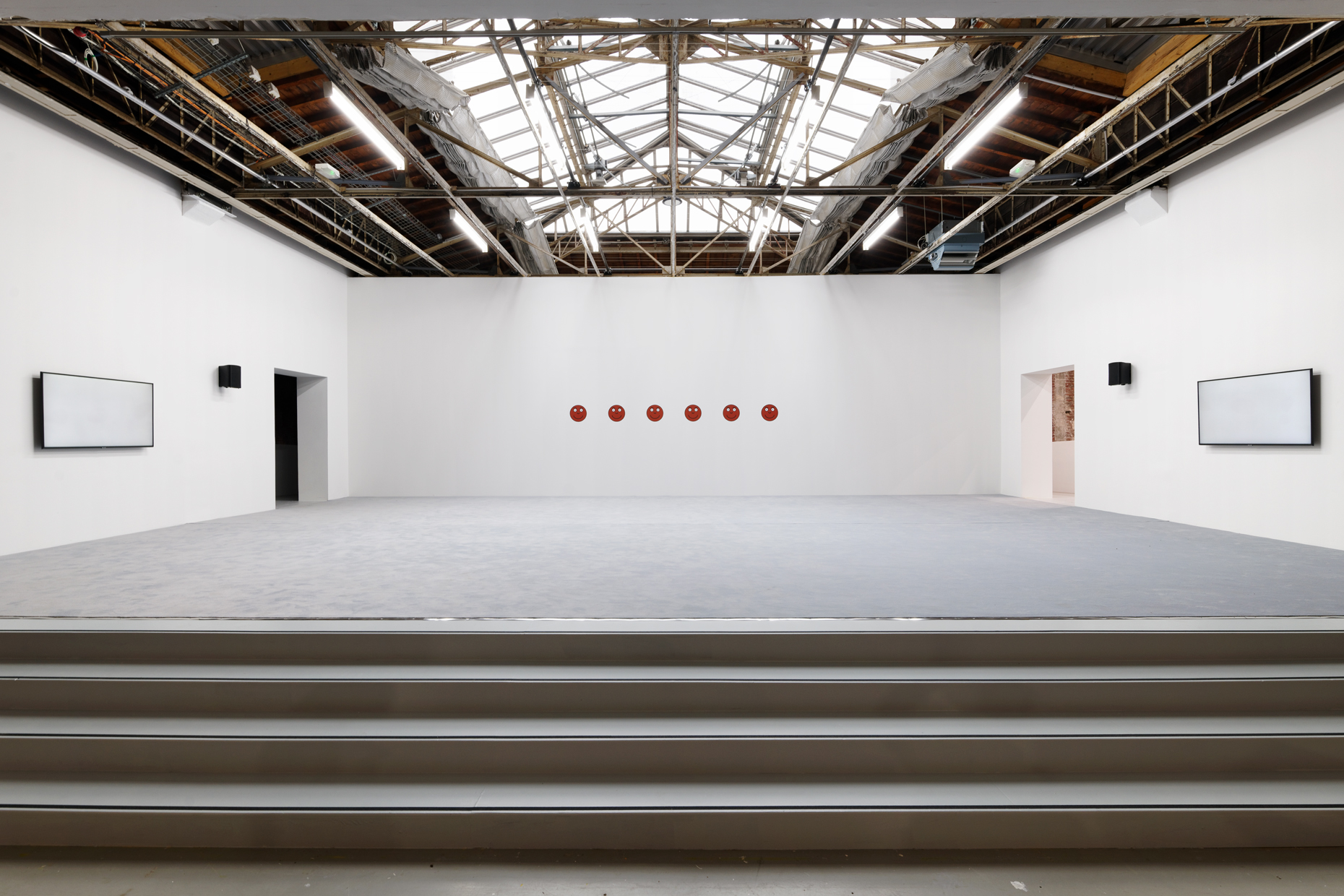 pdt-2020-anticorps-002