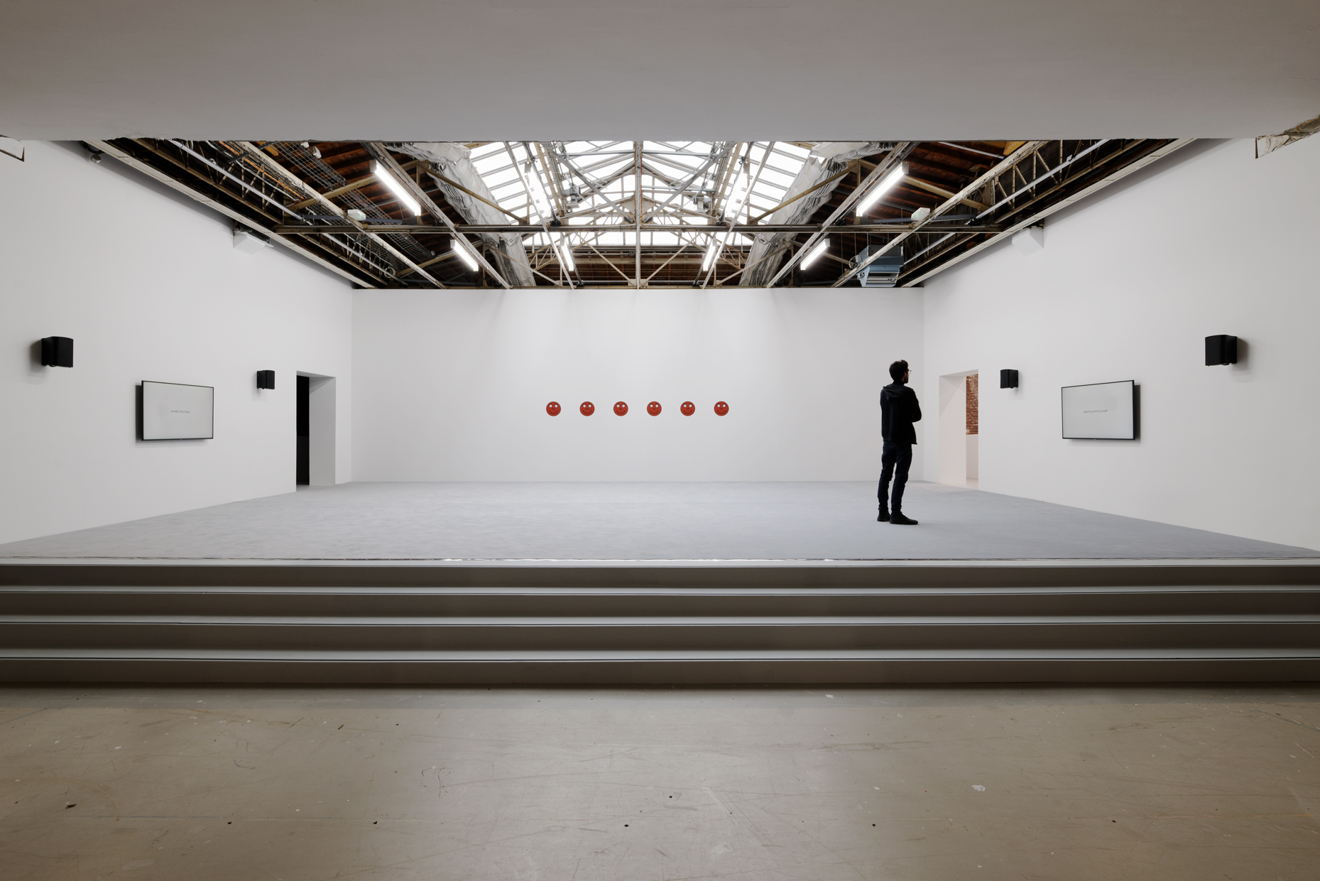 pdt-2020-anticorps-008