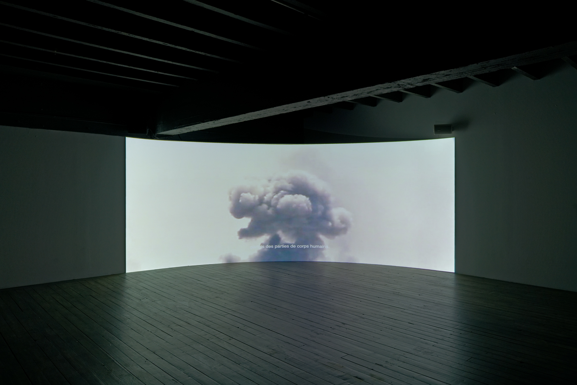 pdt-2020-anticorps-071