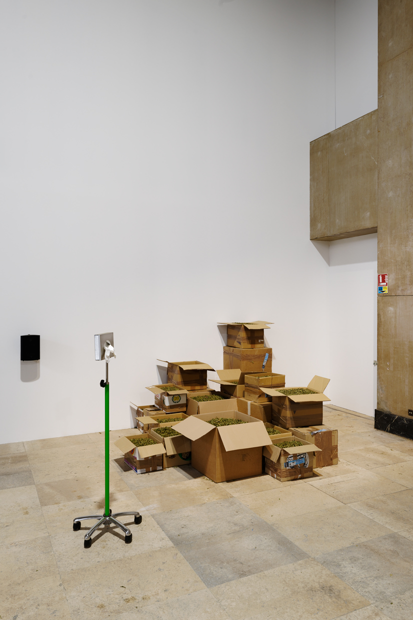 pdt-2020-anticorps-065