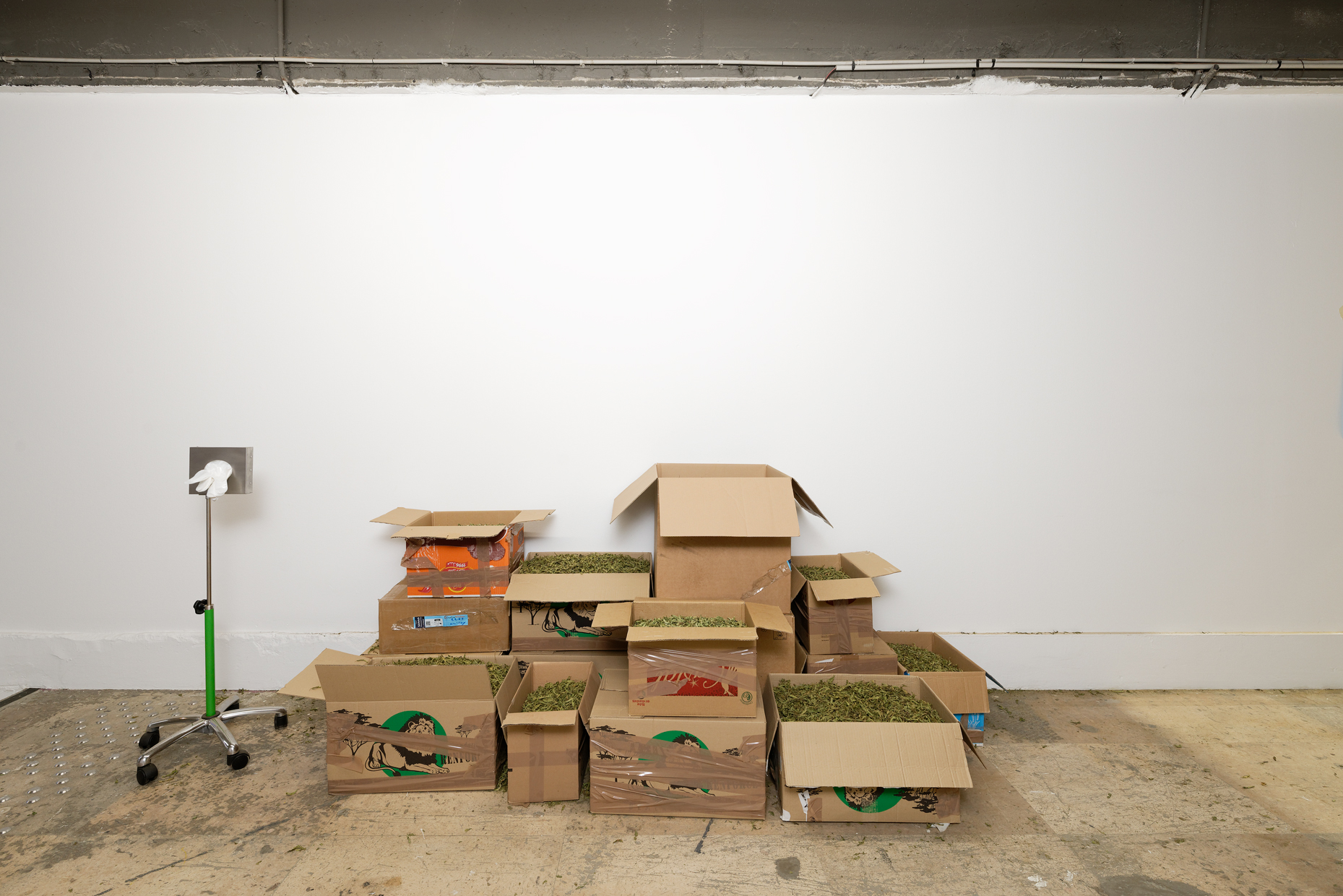 pdt-2020-anticorps-076