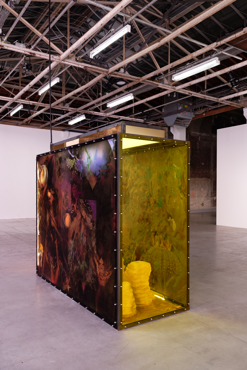 pdt-2020-anticorps-176