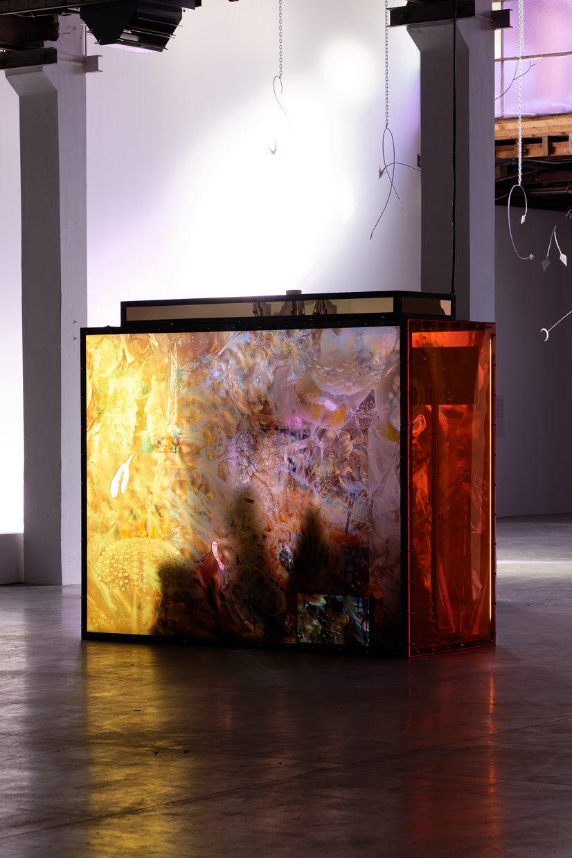 pdt-2020-anticorps-200