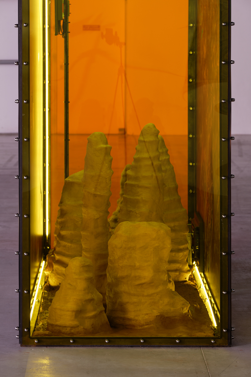 pdt-2020-anticorps-205