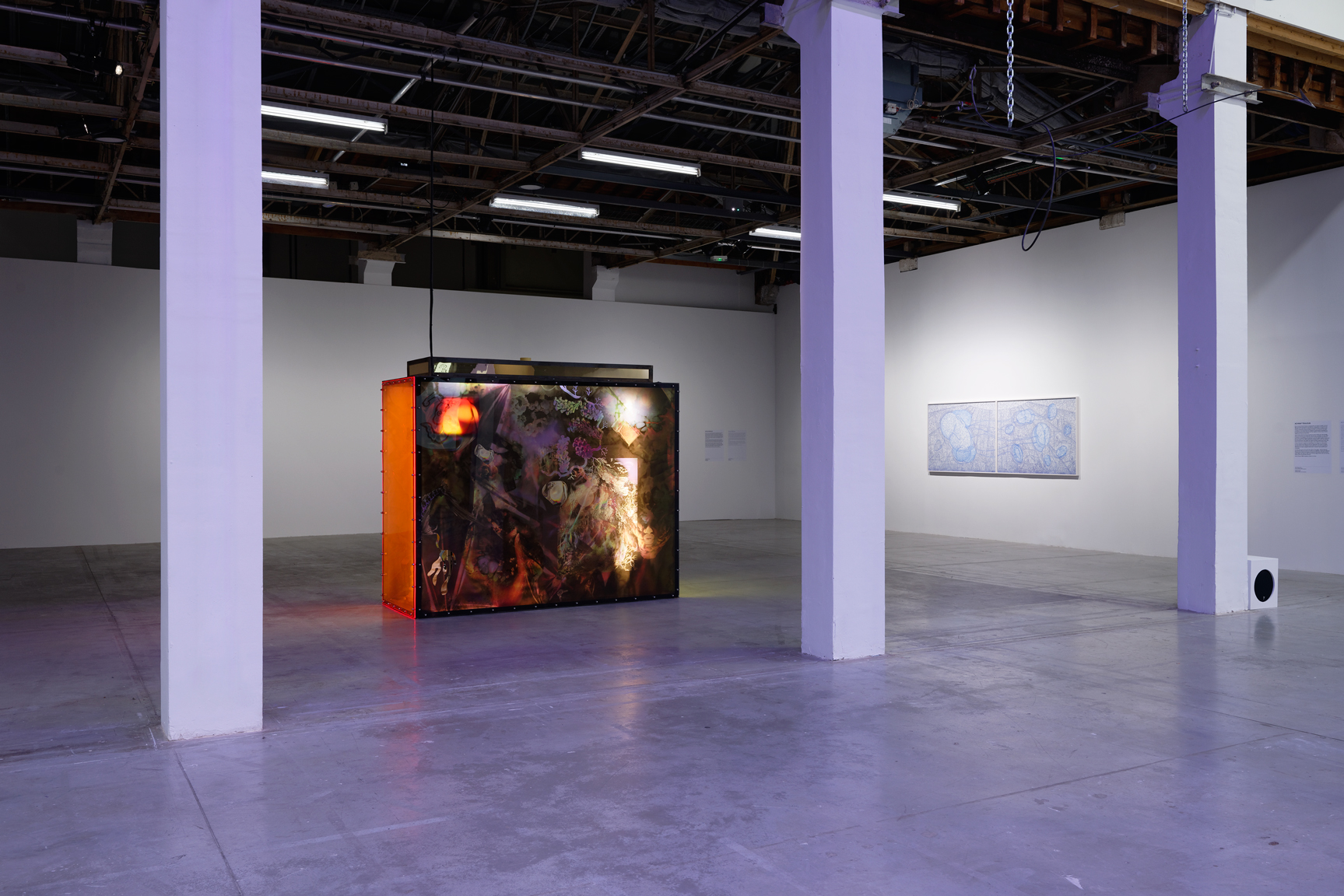 pdt-2020-anticorps-s3-007