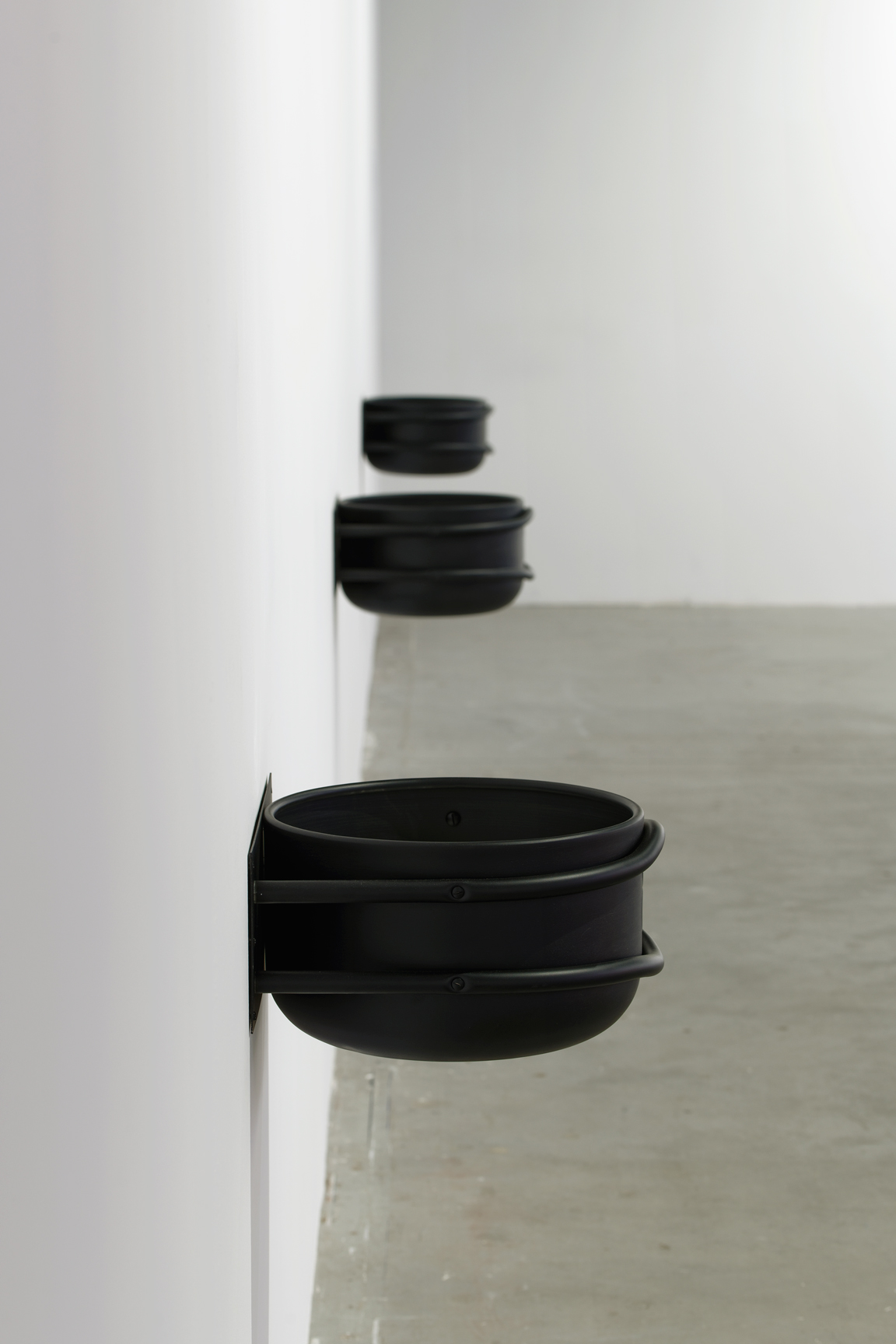 pdt-2020-anticorps-s3-014