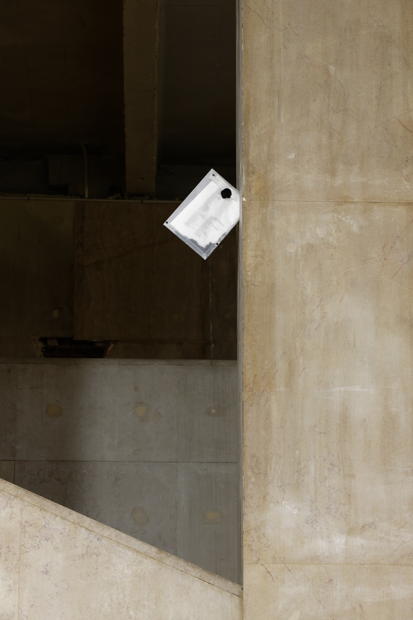 pdt-2020-anticorps-099