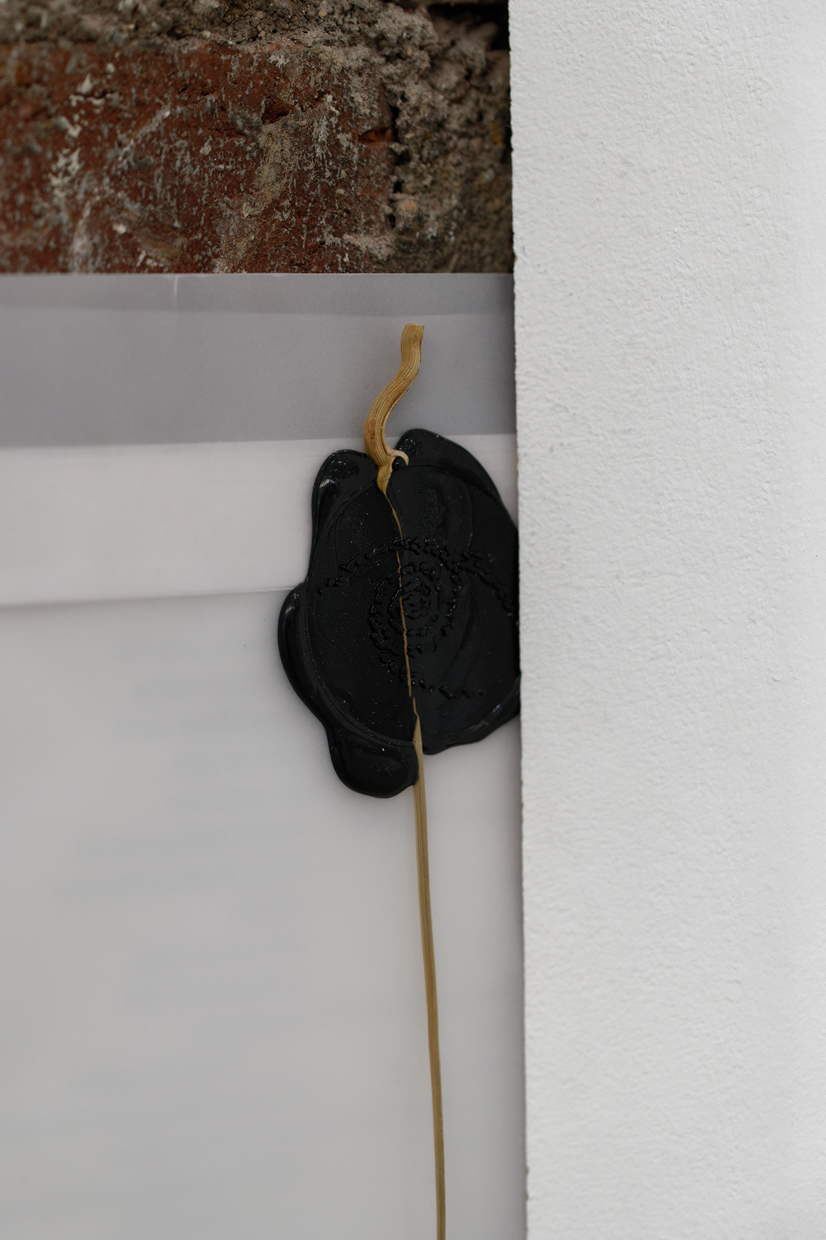 pdt-2020-anticorps-229