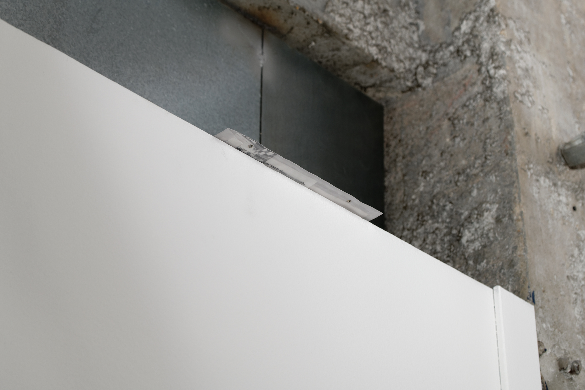 pdt-2020-anticorps-230