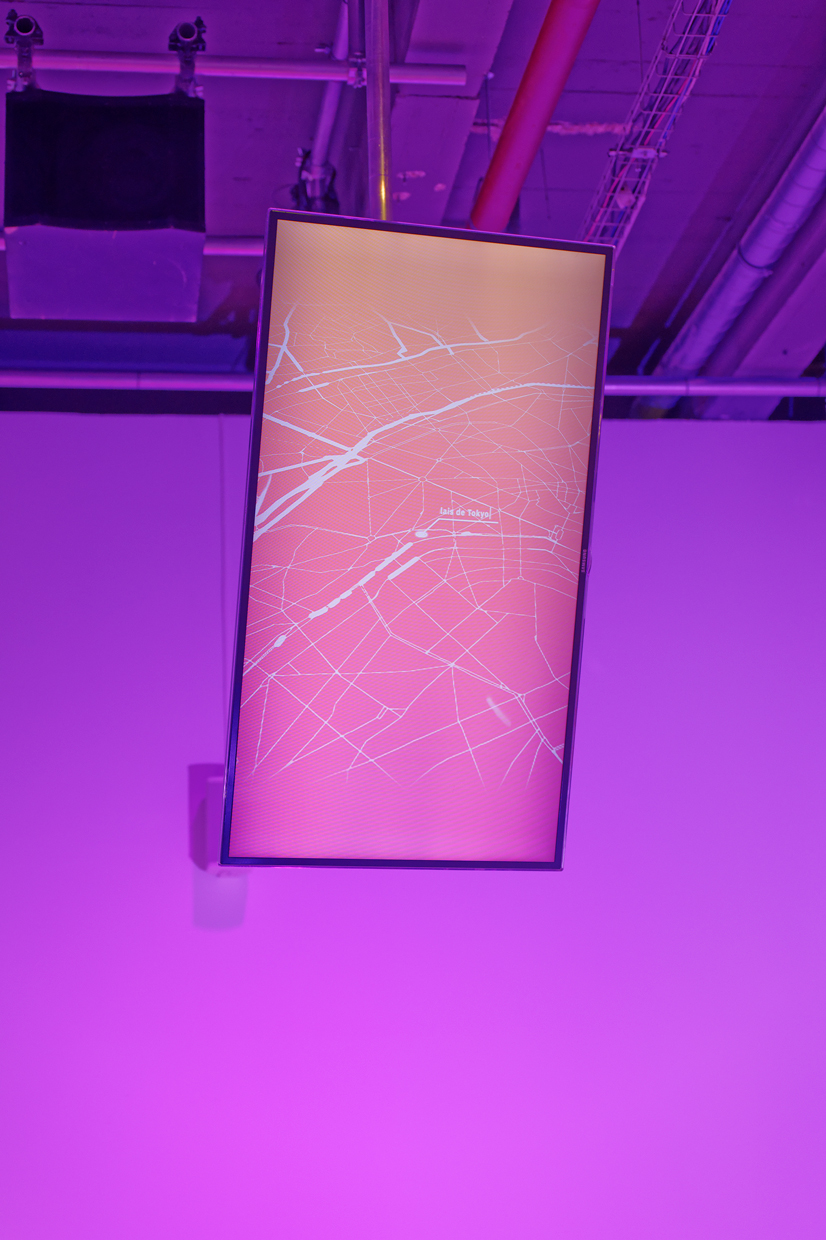 pdt-2020-anticorps-220