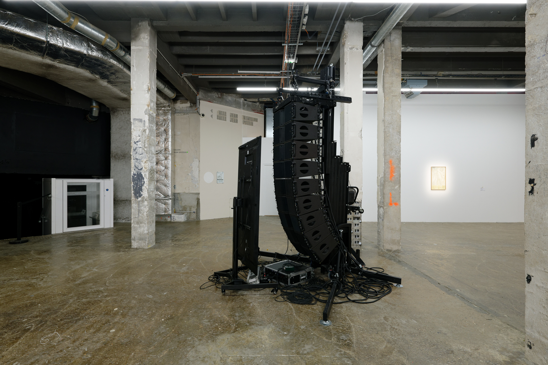 pdt-2020-anticorps-096