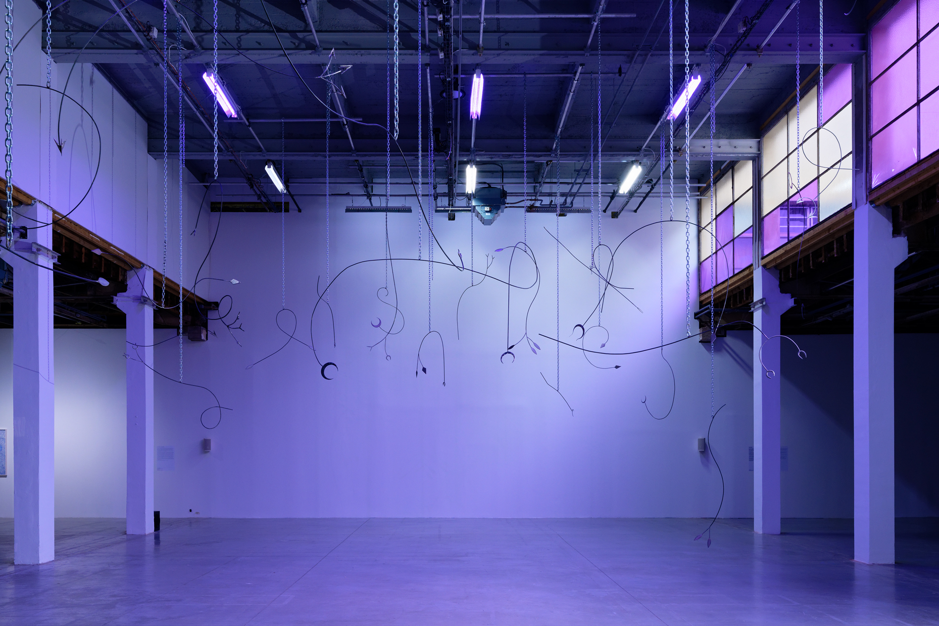 pdt-2020-anticorps-061